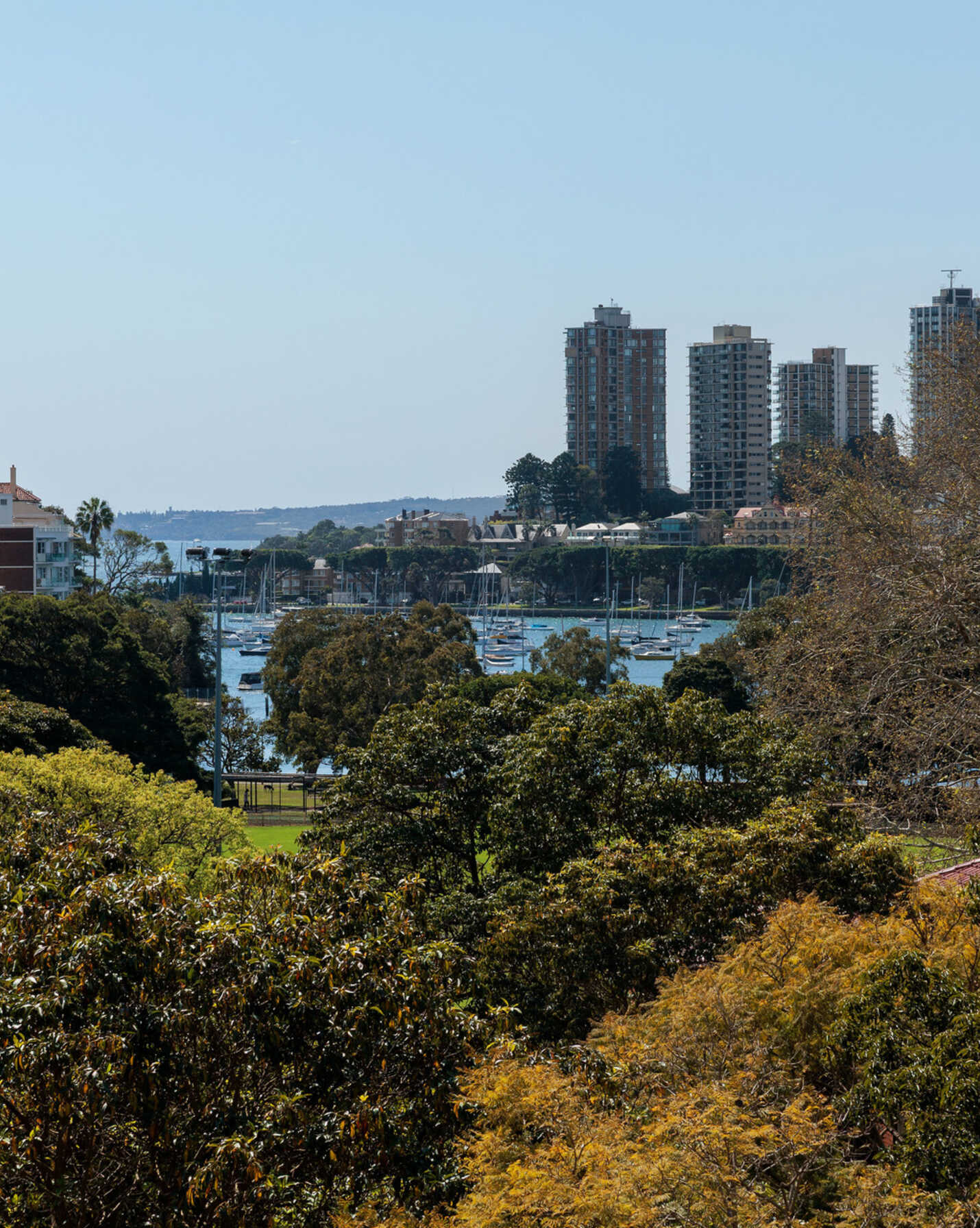 10/29-31 Waratah Street Rushcutters Bay, Bay - Thumbnail 4