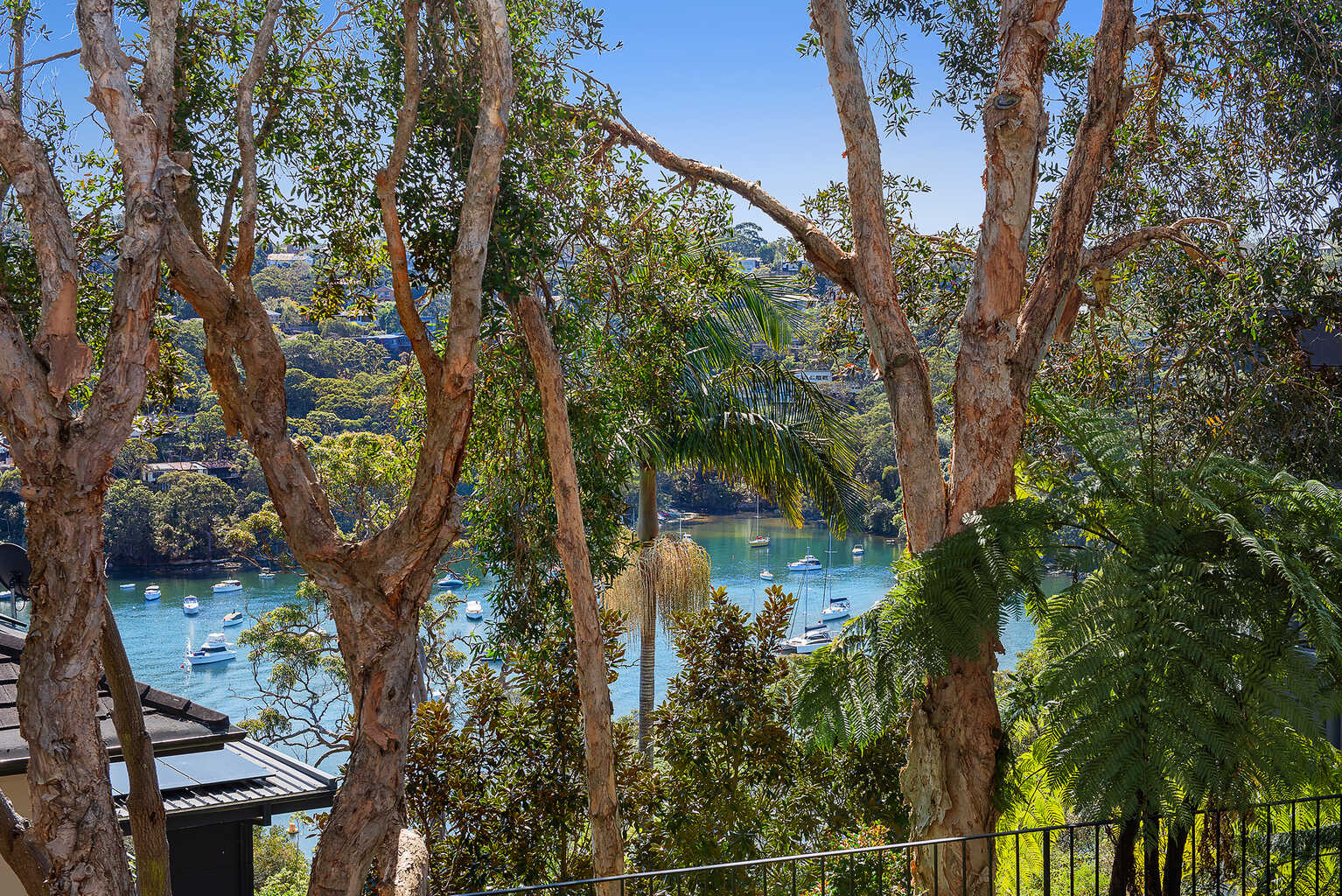 13 Minnamurra Road Northbridge 13 Minnamurra Road Northbridge