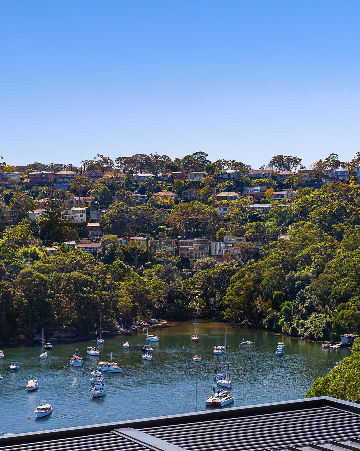 13 Minnamurra Road Northbridge, Northbridge - Thumbnail 2