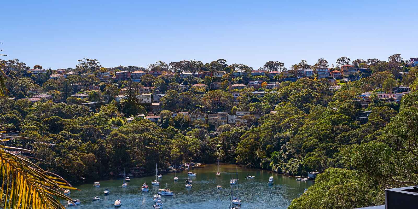 13 Minnamurra Road Northbridge 13 Minnamurra Road Northbridge