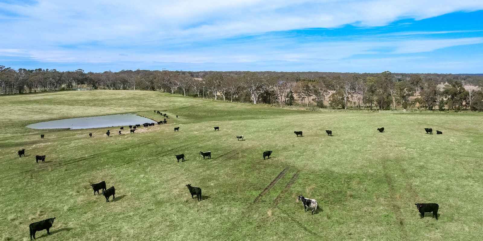60 Wanganderry Road High Range
