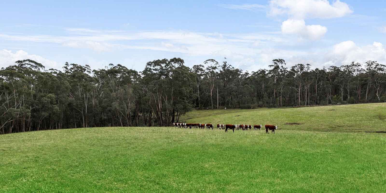 60 Wanganderry Road High Range