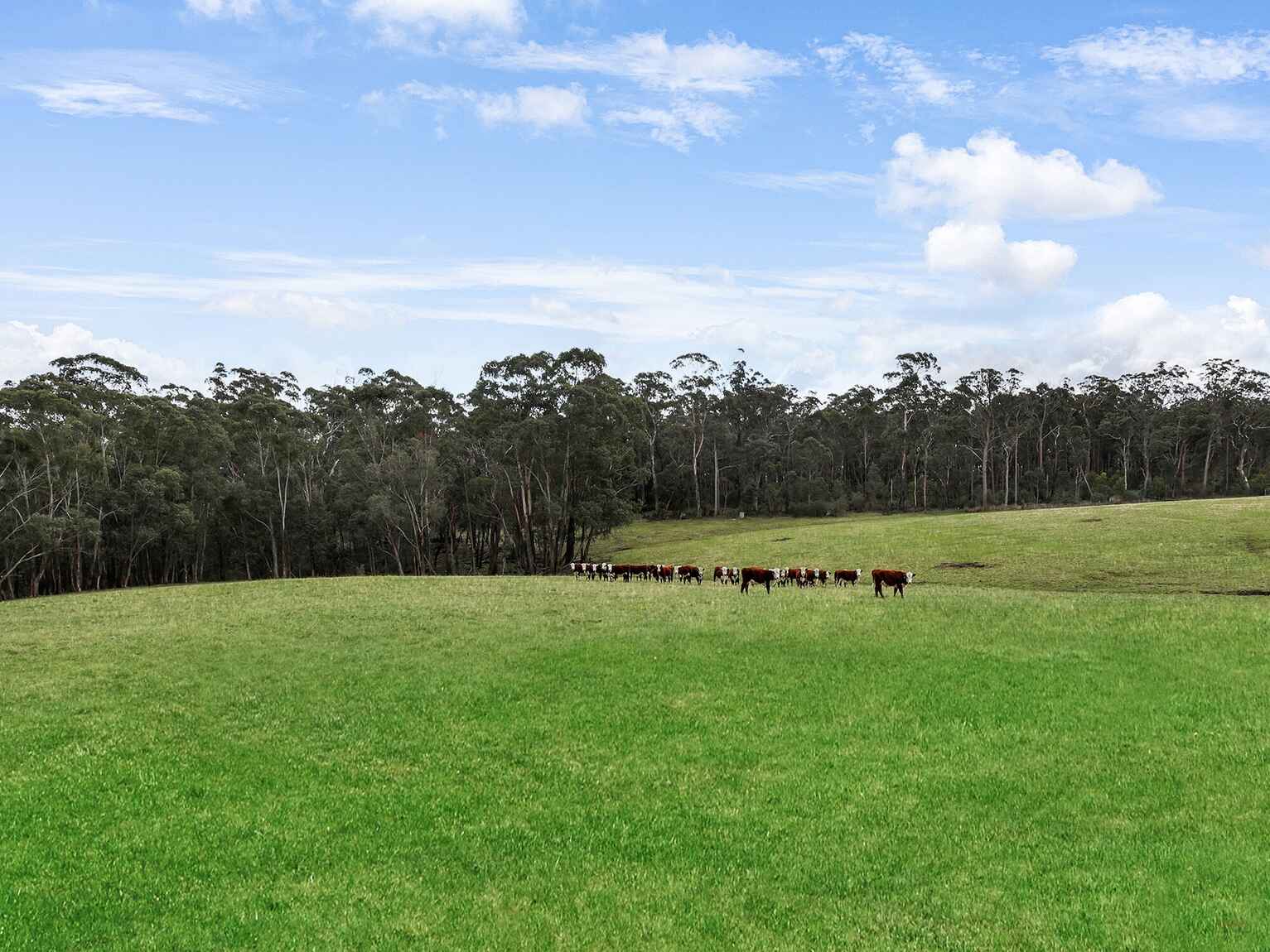 60 Wanganderry Road High Range