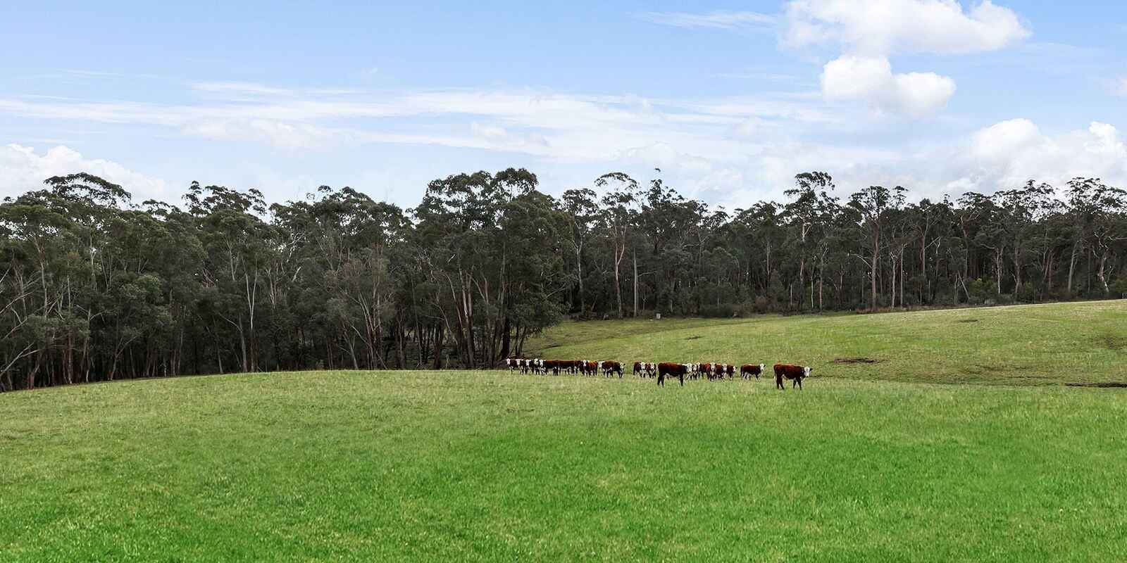 60 Wanganderry Road High Range