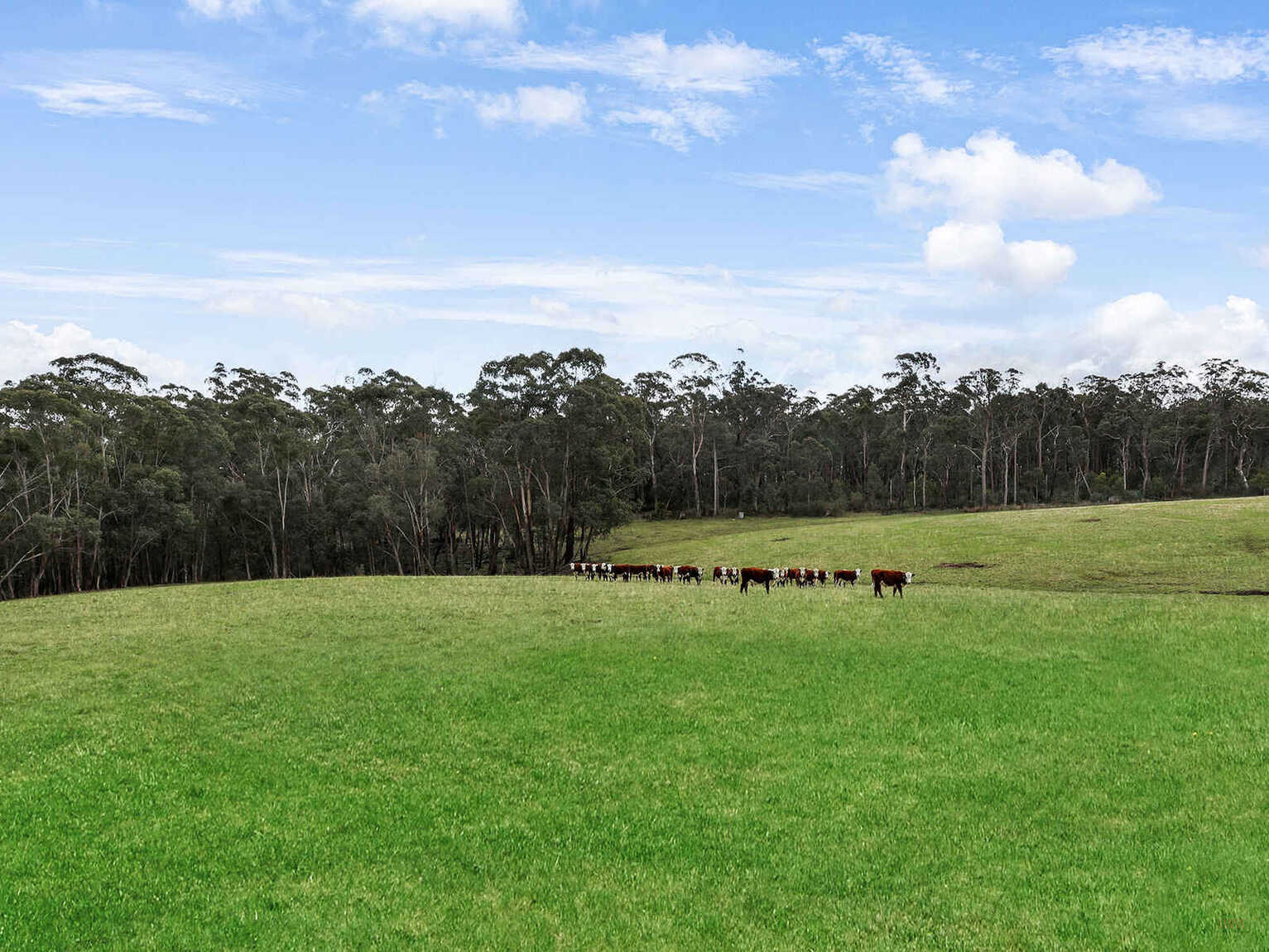 60 Wanganderry Road High Range