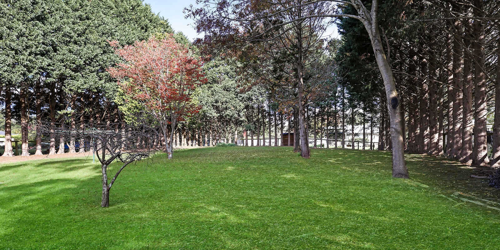 15 Forwood Crescent Bundanoon 15 Forwood Crescent Bundanoon