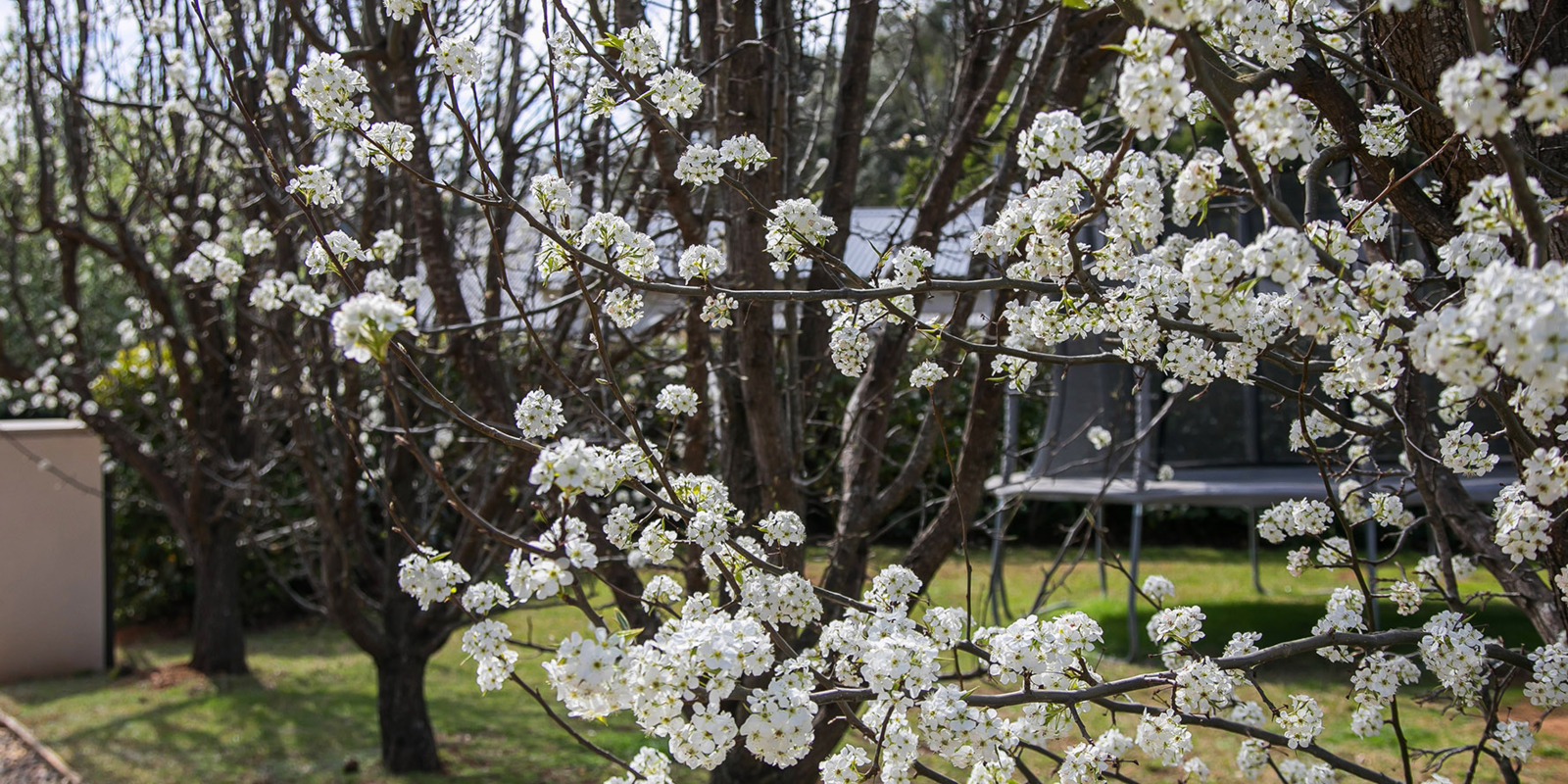 14 Greasons Road Bundanoon
