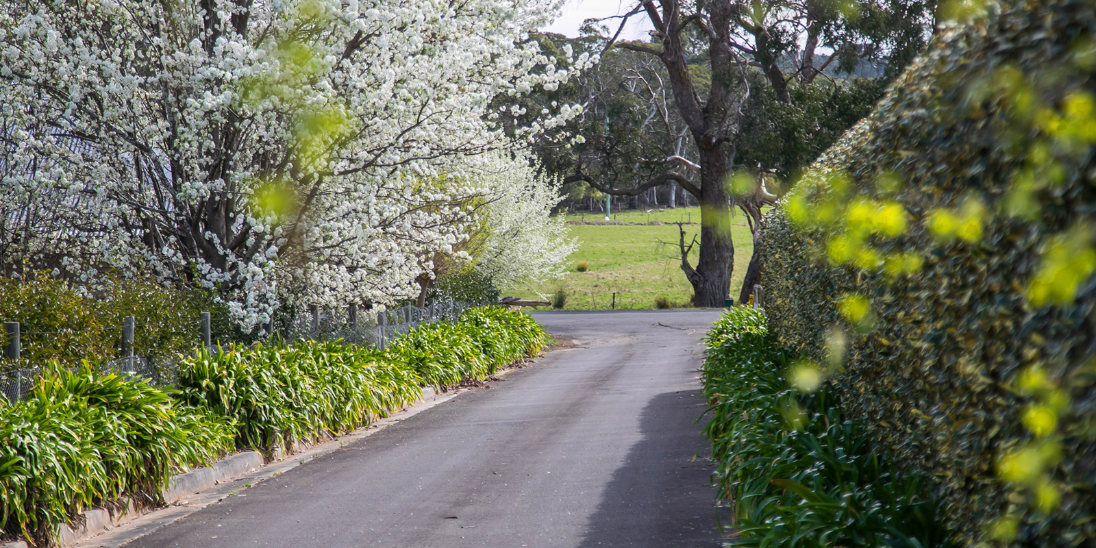 14 Greasons Road Bundanoon