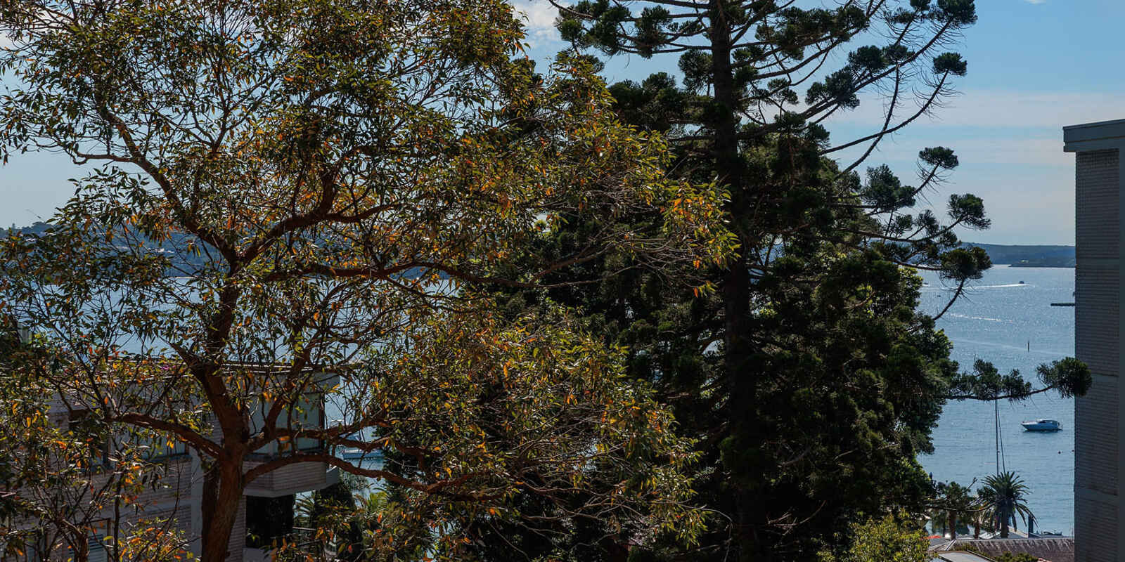 31/8 Greenknowe Avenue Elizabeth Bay