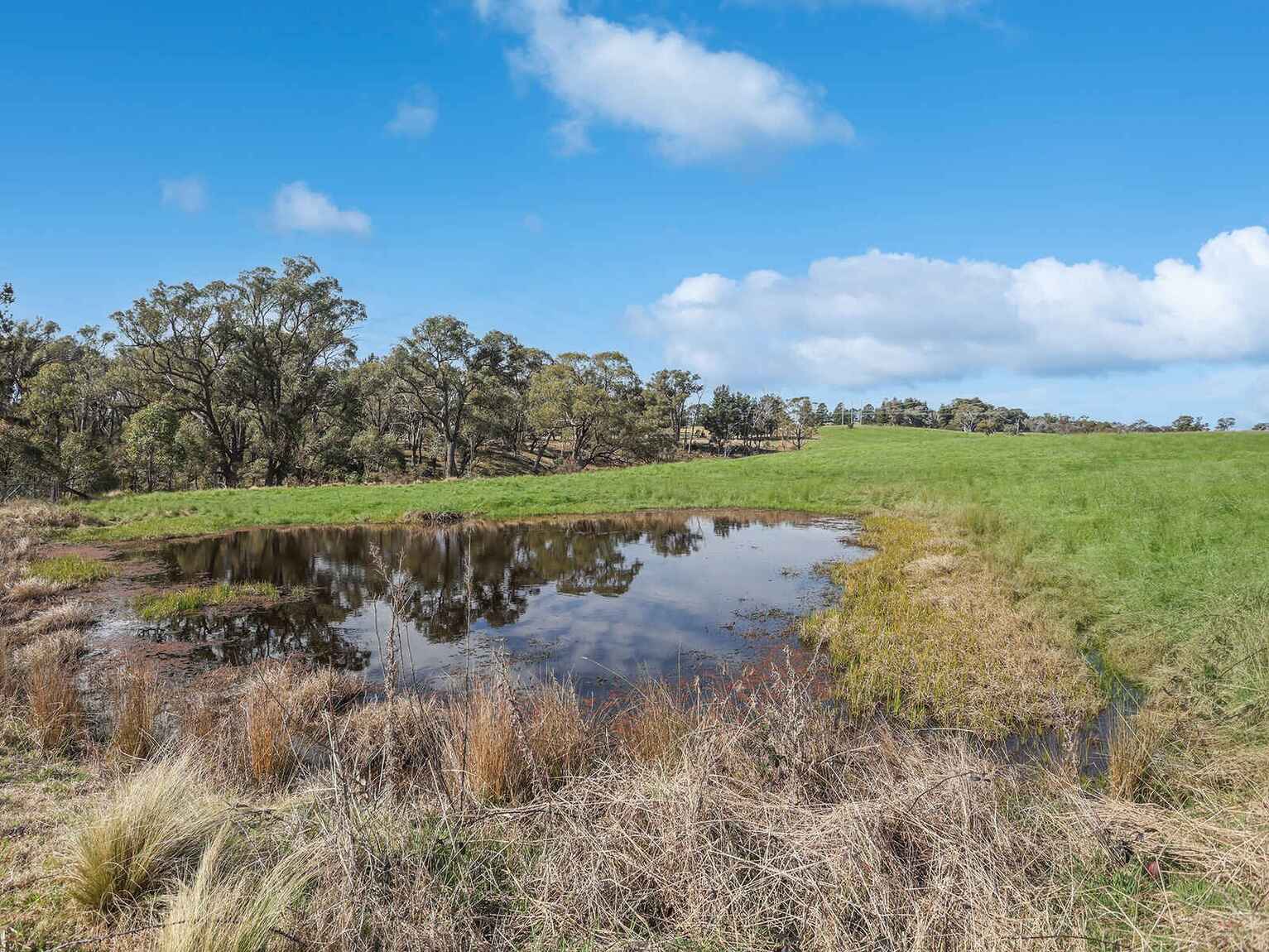 551 Inverary Road Paddys River