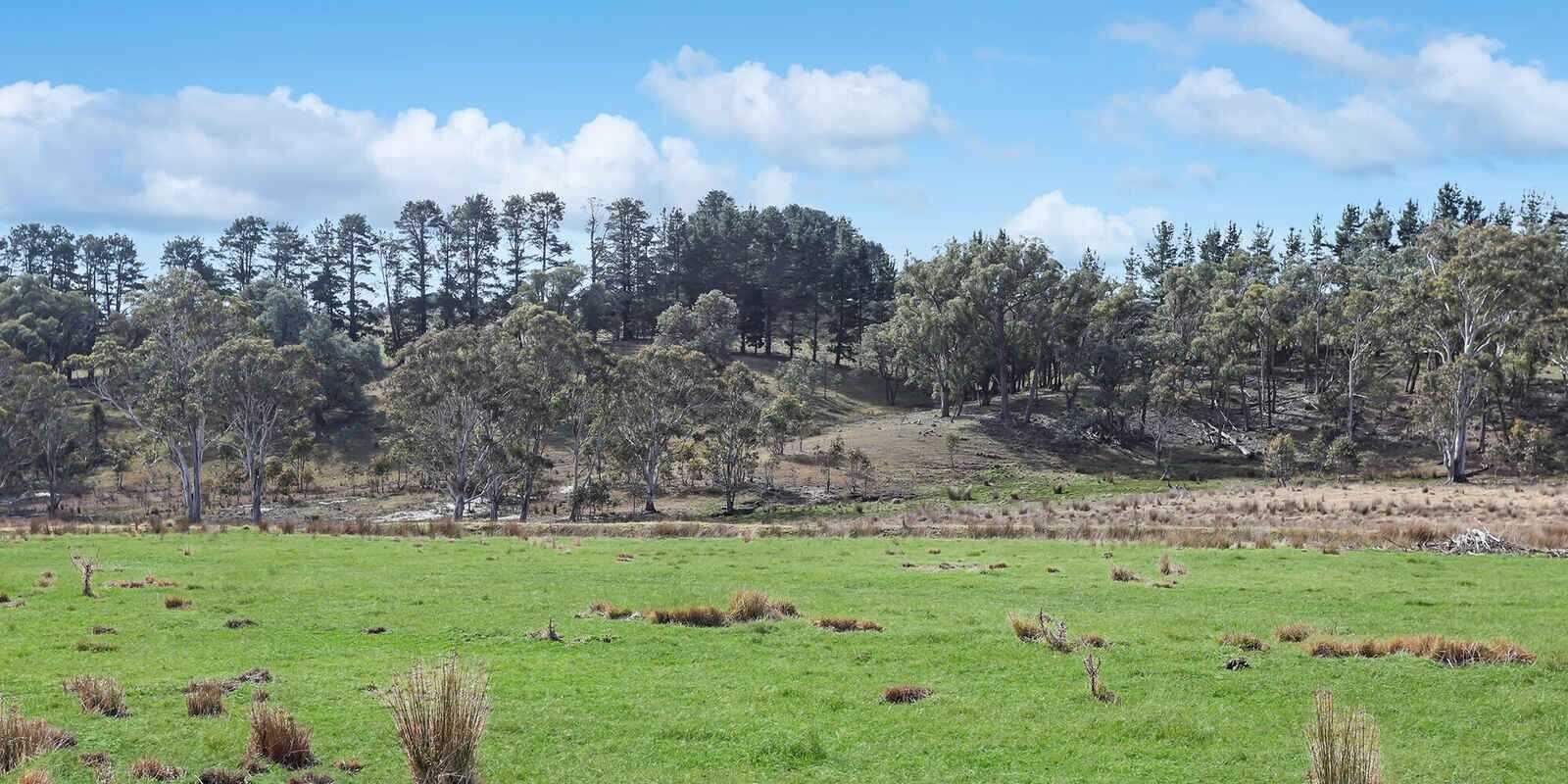 551 Inverary Road Paddys River