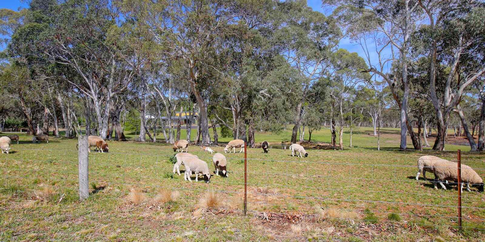 797 Wombeyan Caves Road High Range