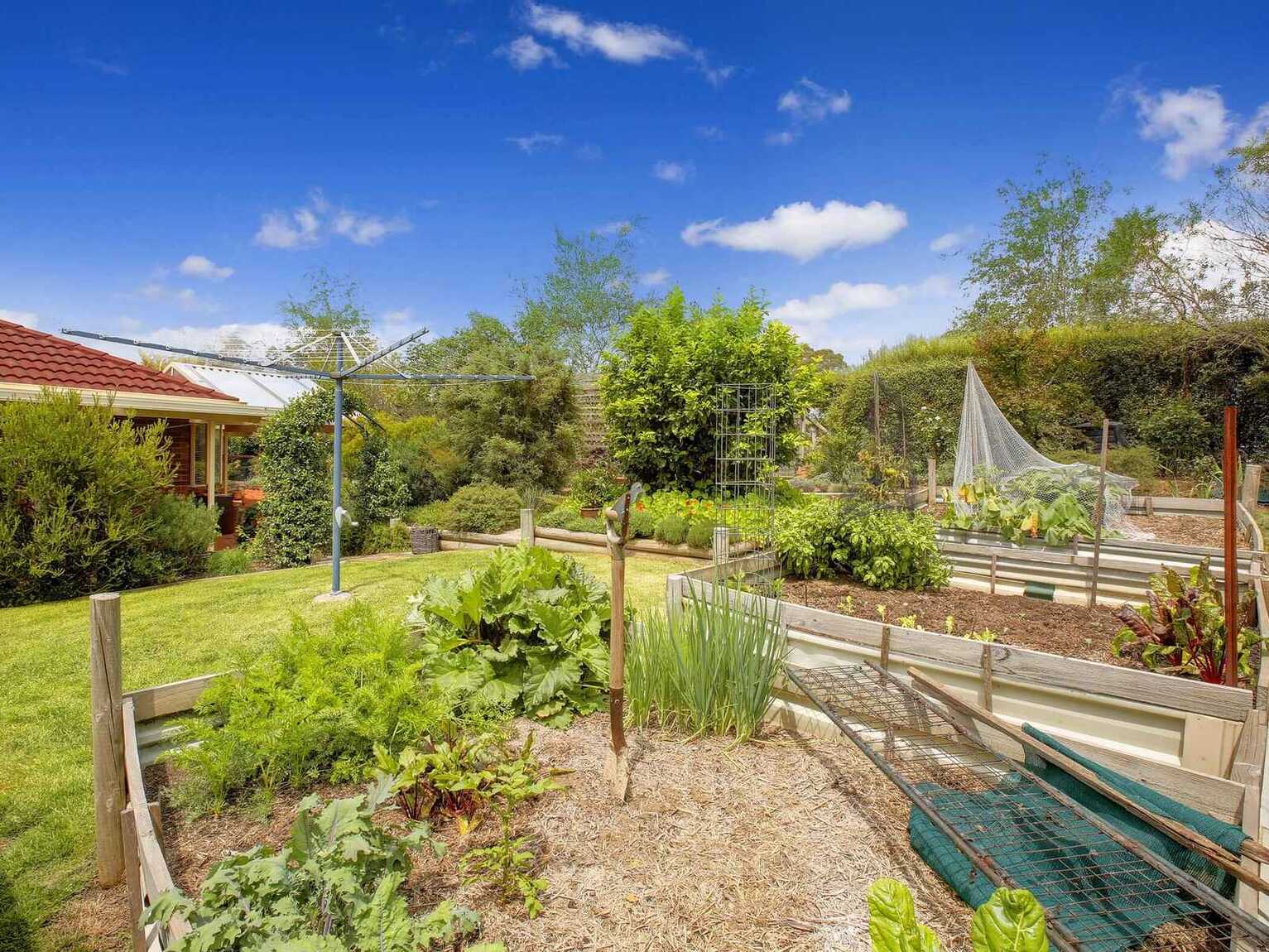 6 Betula Grove Bundanoon 6 Betula Grove Bundanoon