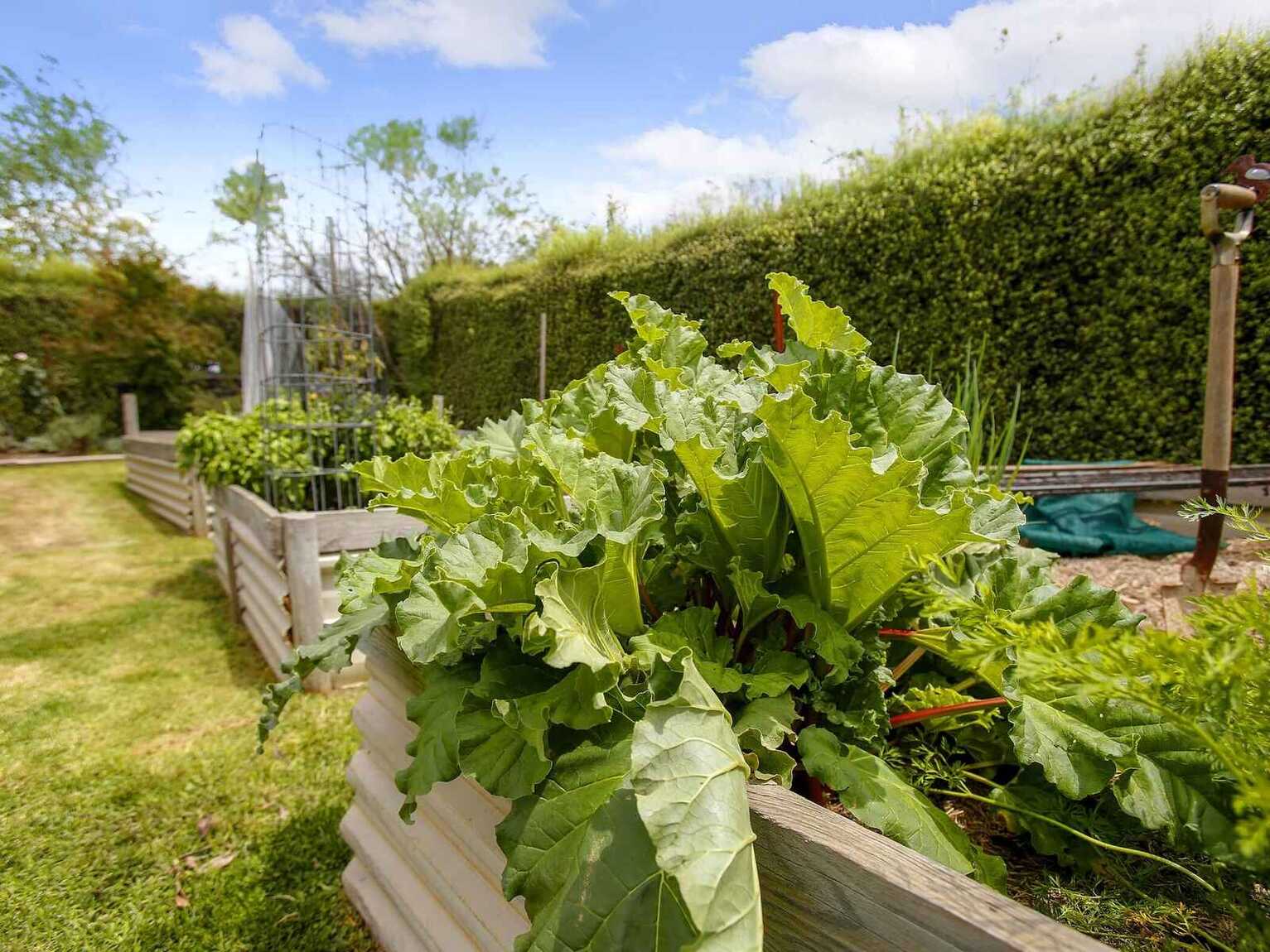 6 Betula Grove Bundanoon 6 Betula Grove Bundanoon