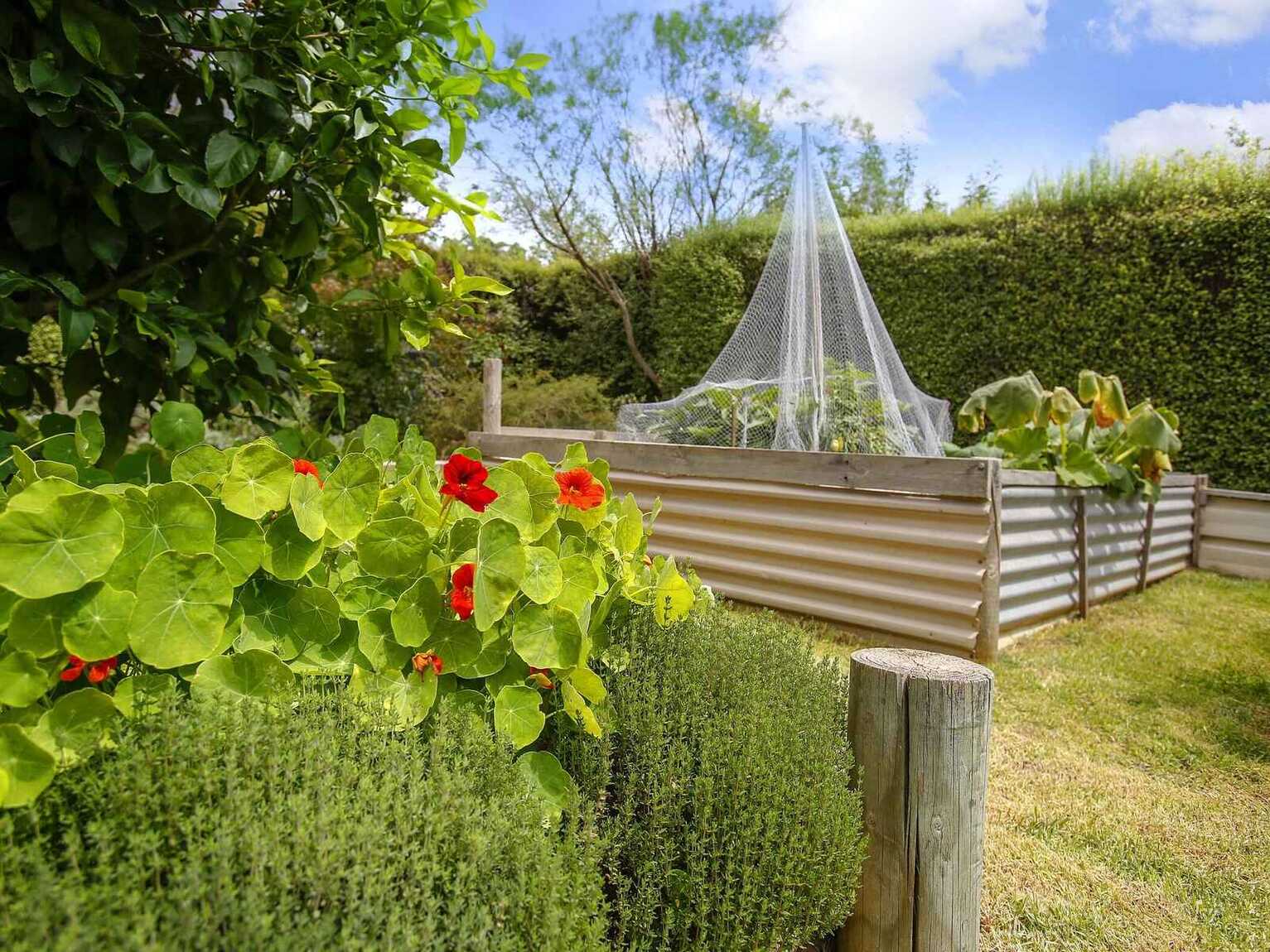6 Betula Grove Bundanoon 6 Betula Grove Bundanoon