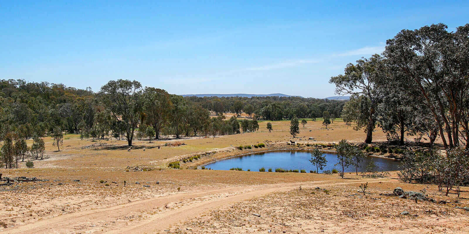 960 Woolpack Road Boorowa 960 Woolpack Road Boorowa