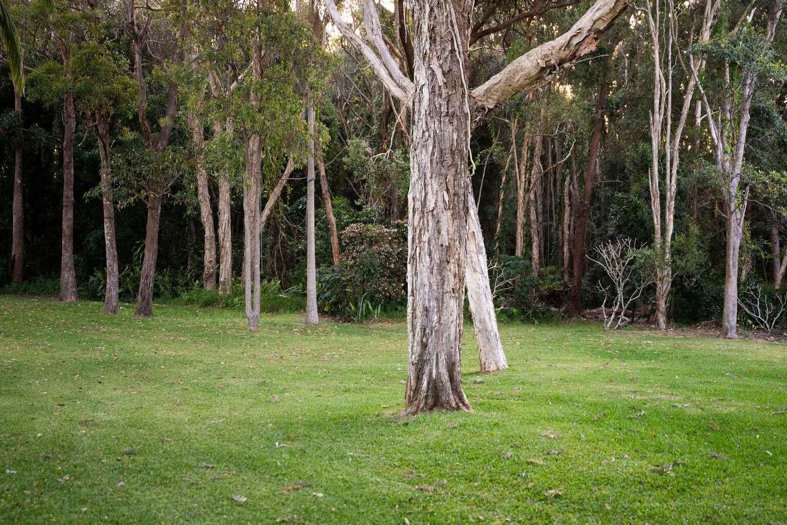 87 Cinnamon Avenue Coolum Beach