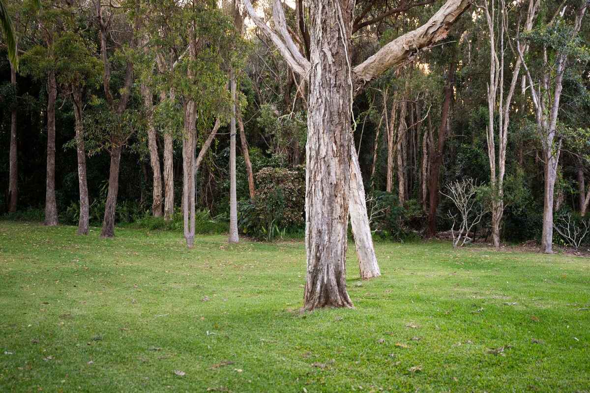 87 Cinnamon Avenue Coolum Beach