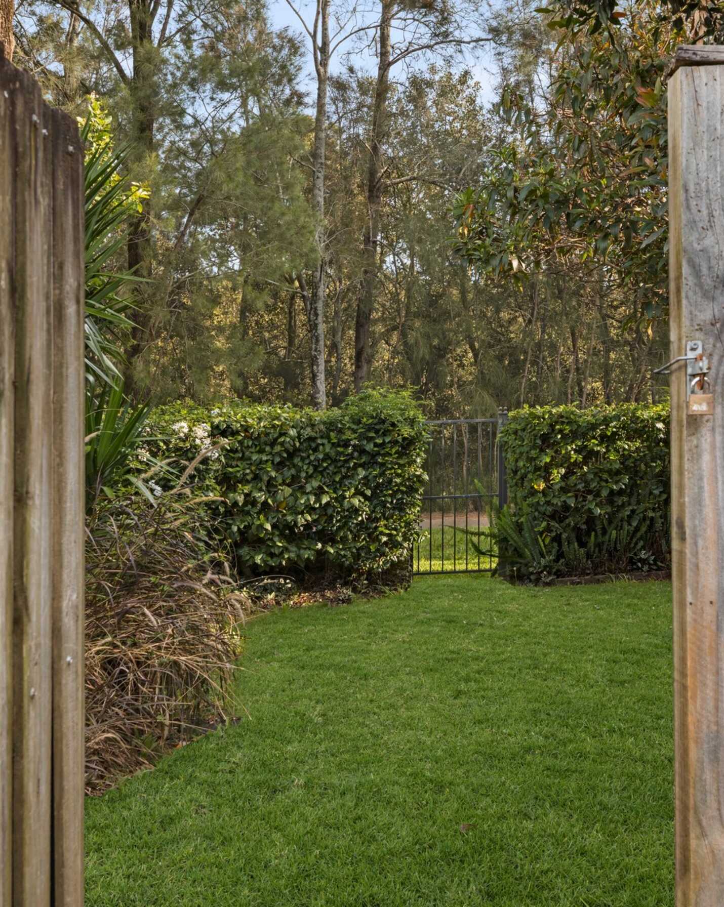 3/14A Hurlstone Avenue Hurlstone Park, Park - Thumbnail 2