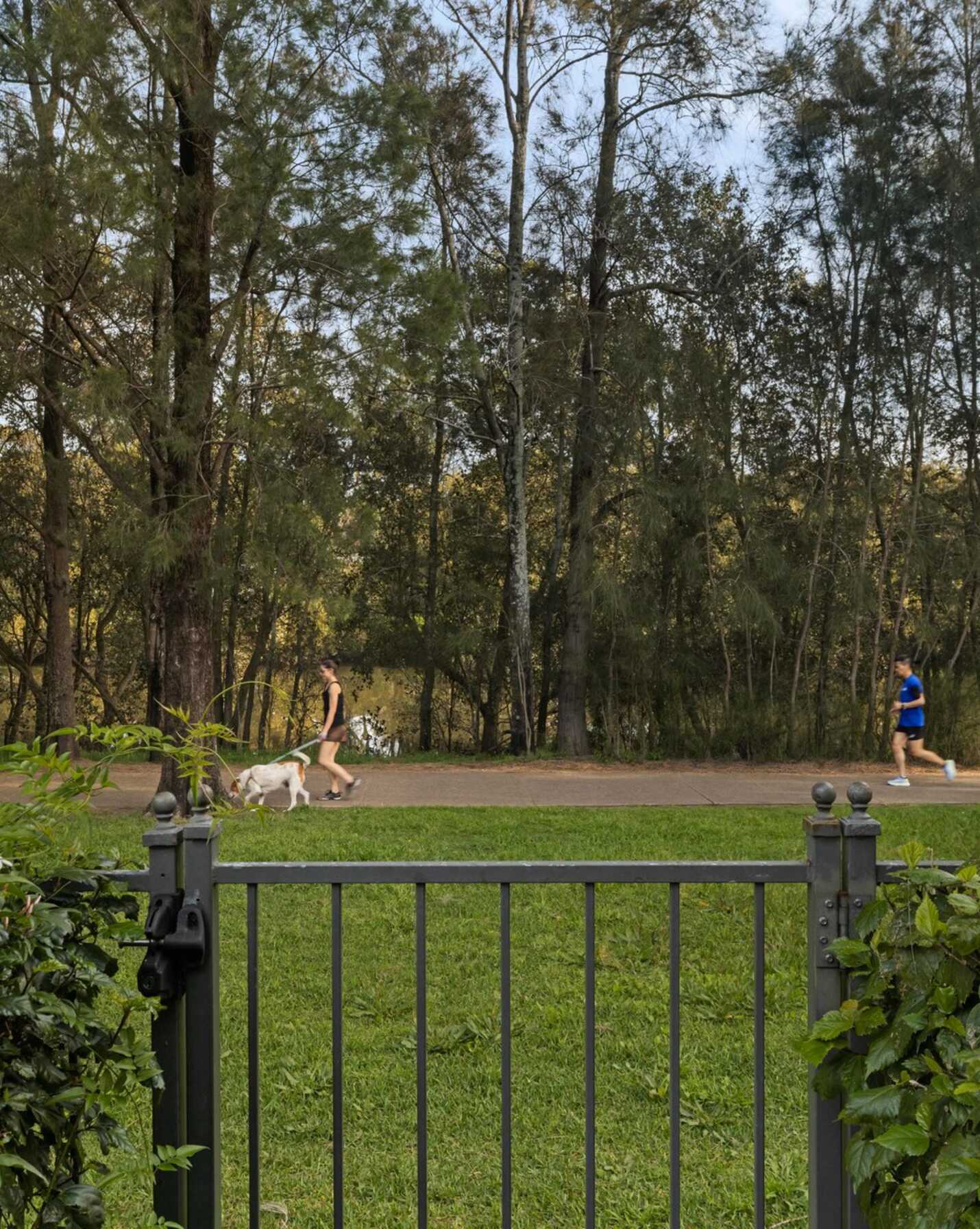 3/14A Hurlstone Avenue Hurlstone Park, Park - Thumbnail 3