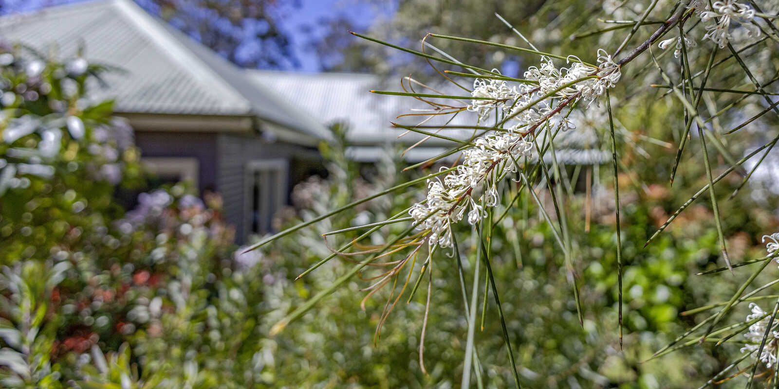6 Heath Street Blackheath 6 Heath Street Blackheath
