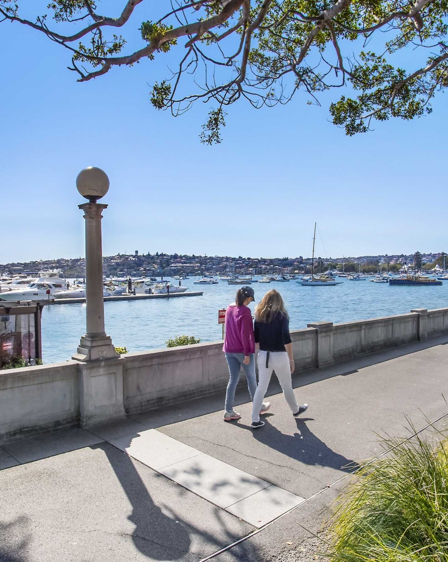 5/680 Old South Head Road Rose Bay, Bay - Thumbnail 7