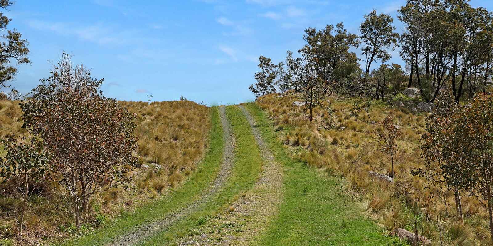 116 Pheasant Gully Road Bullio