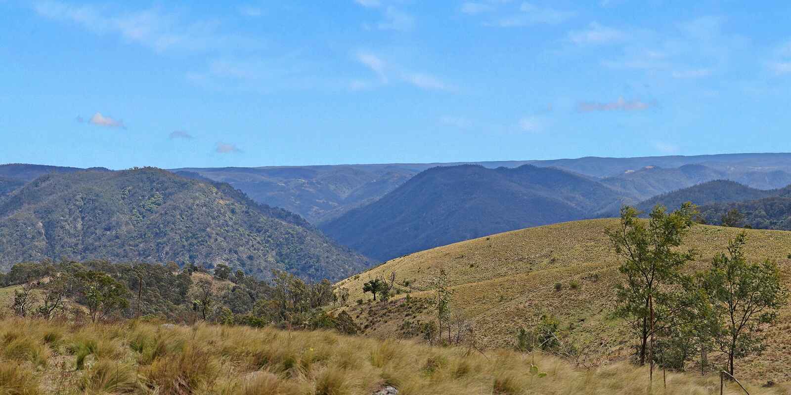 116 Pheasant Gully Road Bullio