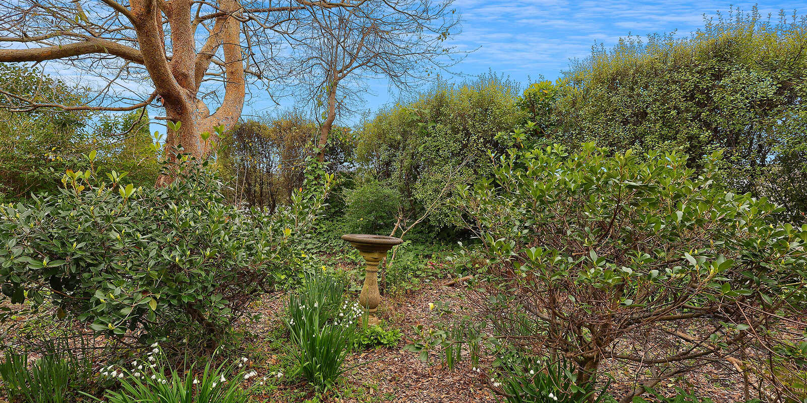 17 Valetta Street Moss Vale 17 Valetta Street Moss Vale