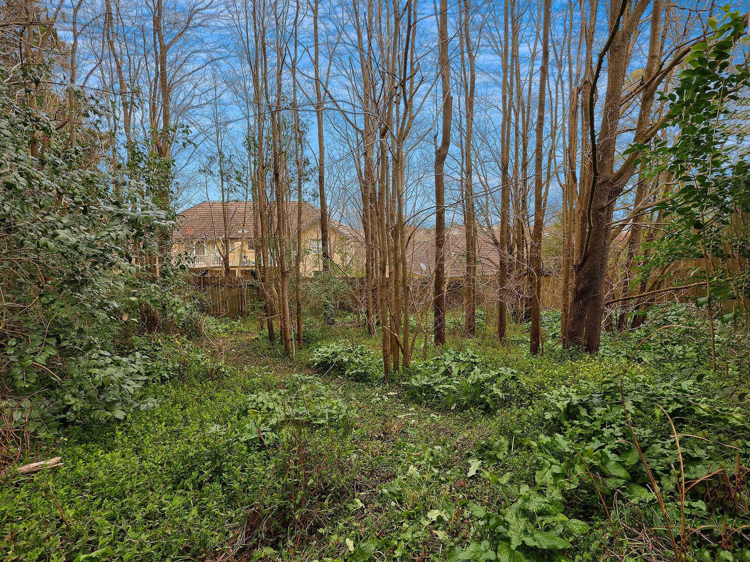 17 Valetta Street Moss Vale 17 Valetta Street Moss Vale