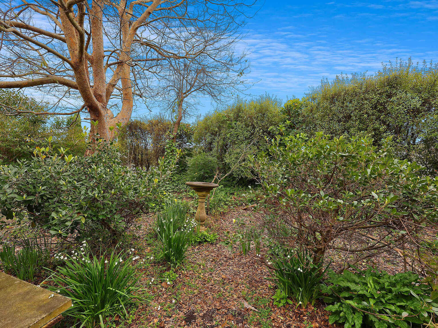 17 Valetta Street Moss Vale 17 Valetta Street Moss Vale