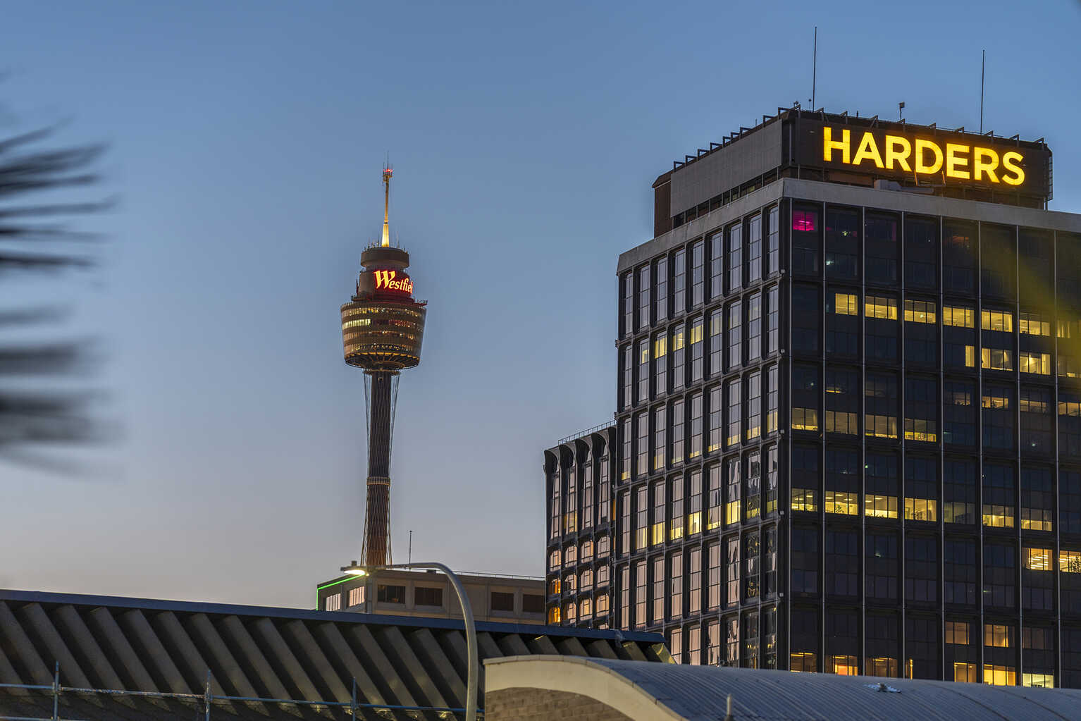 M2/184 Forbes Street Darlinghurst M2/184 Forbes Street Darlinghurst