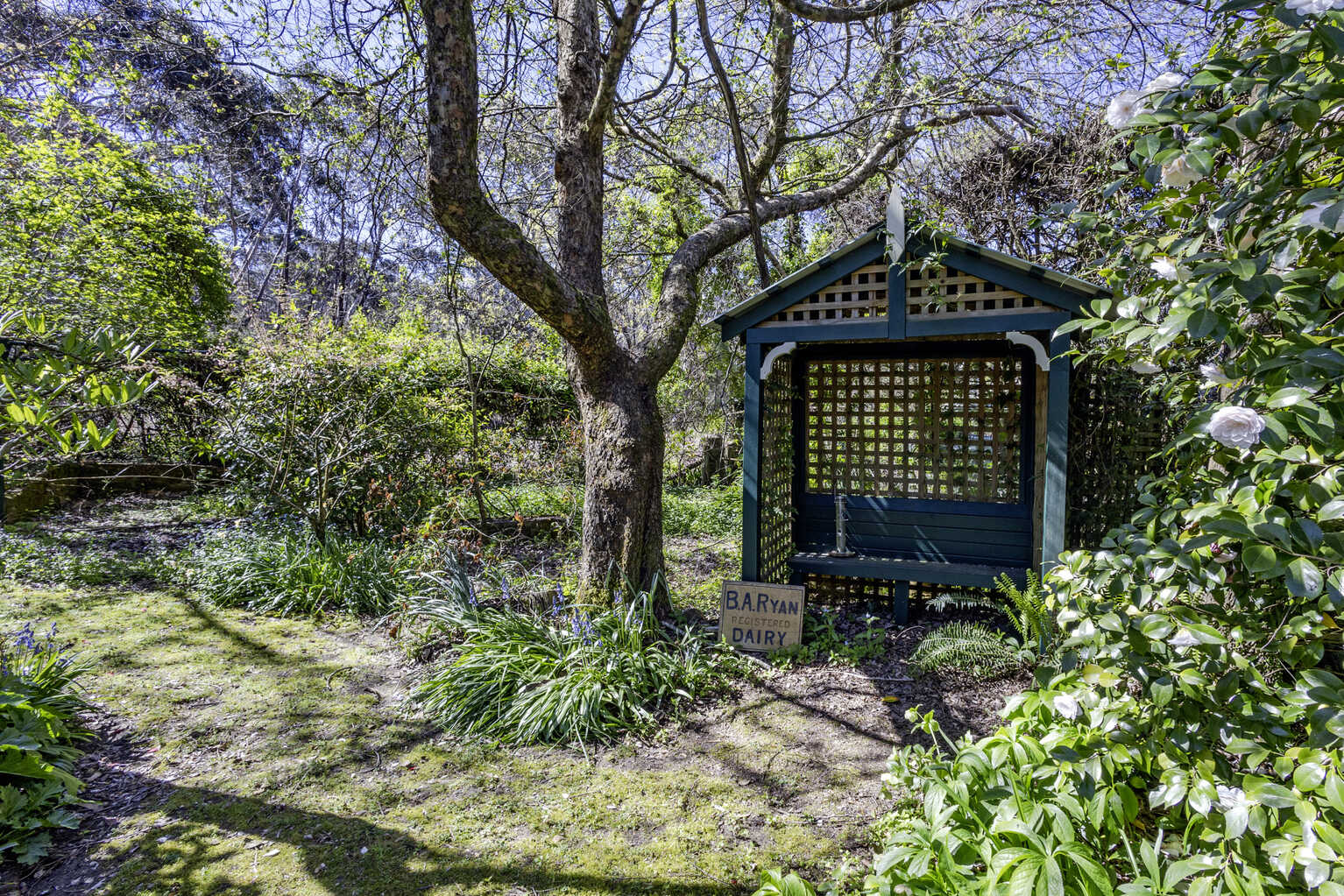 6 Chelmsford Avenue Blackheath