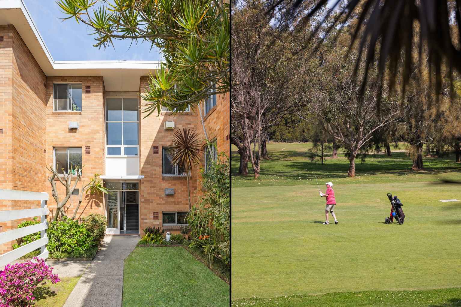 16/22 Ness Avenue Dulwich Hill 16/22 Ness Avenue Dulwich Hill