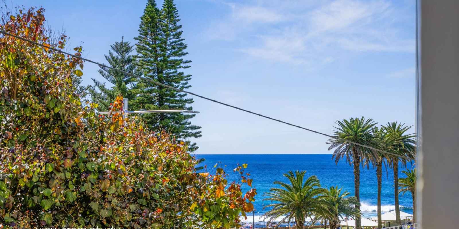 1/459 Bronte Road Bronte