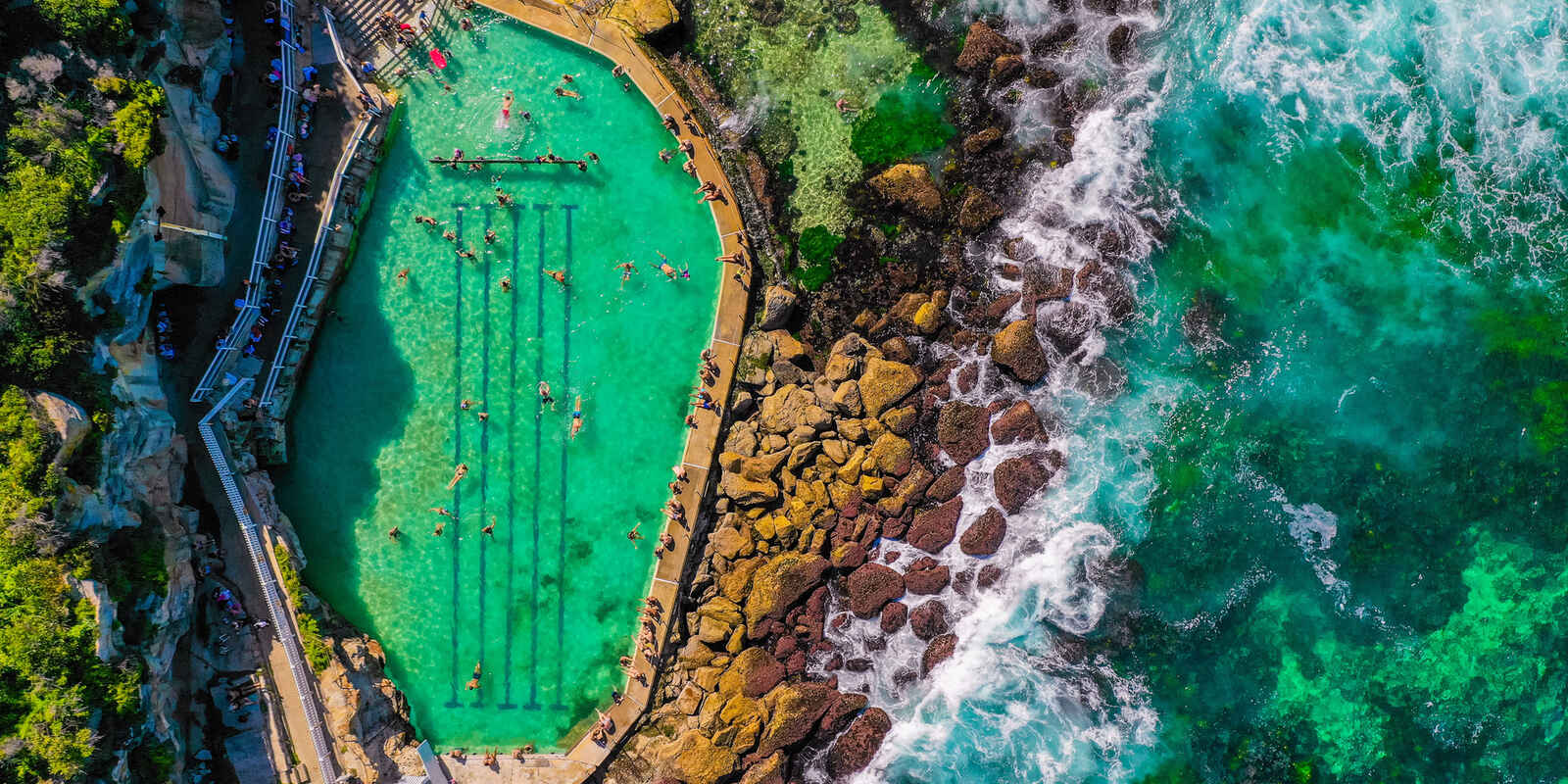 1/459 Bronte Road Bronte