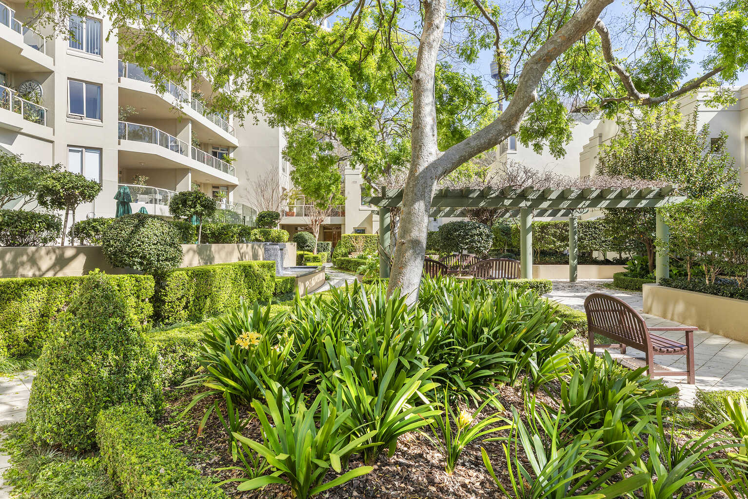 310/63 Crown Street Woolloomooloo 310/63 Crown Street Woolloomooloo