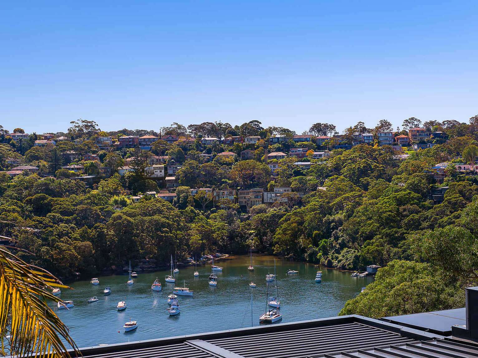 13  Minnamurra Road  Northbridge