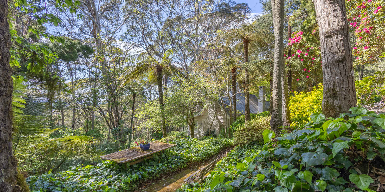 17-21 Wynnes Rocks Road Mount Wilson 17-21 Wynnes Rocks Road Mount Wilson