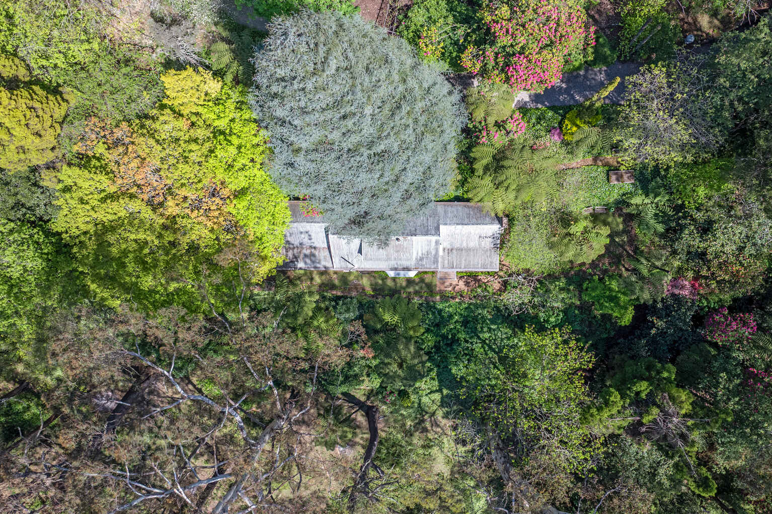 17-21 Wynnes Rocks Road Mount Wilson 17-21 Wynnes Rocks Road Mount Wilson