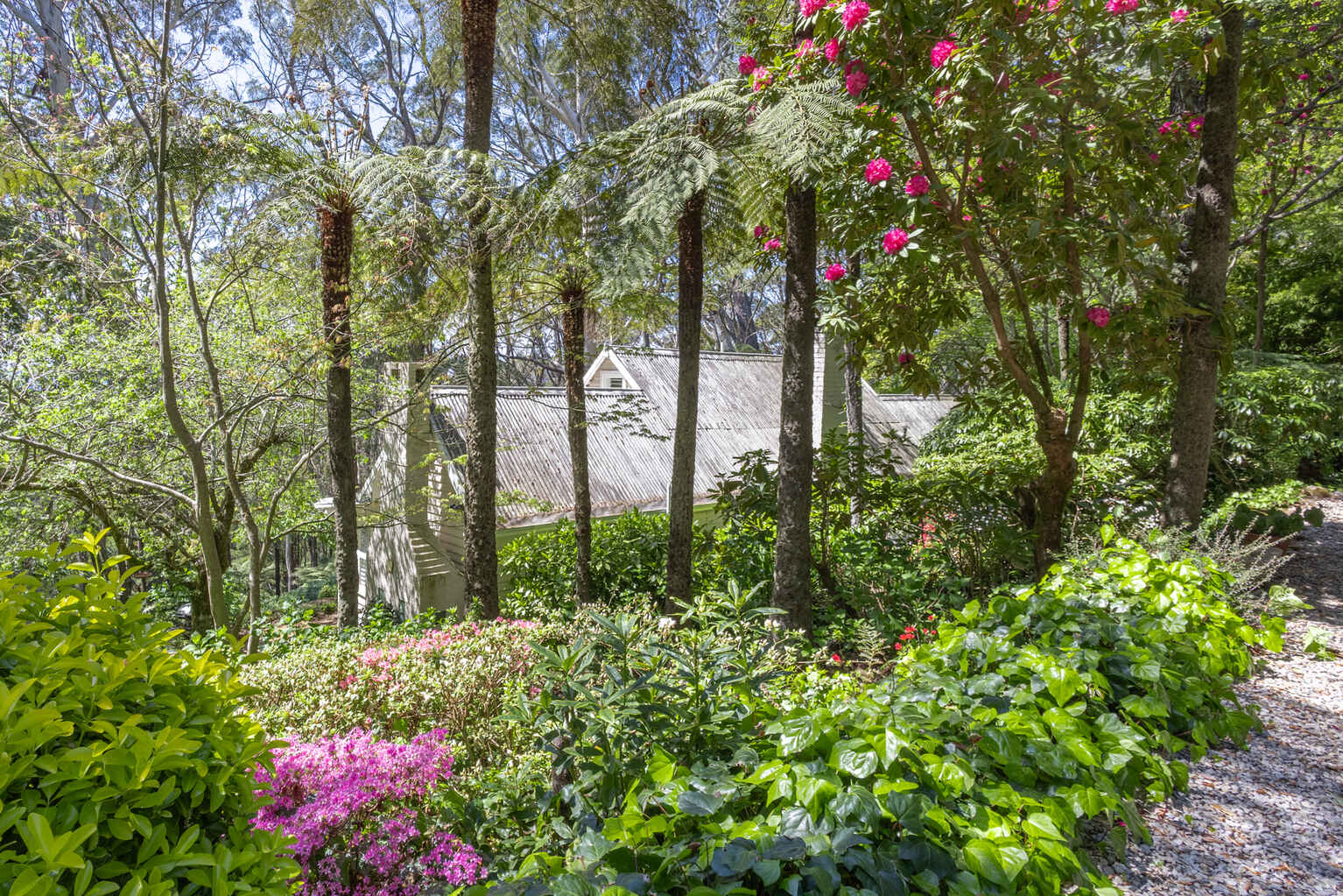 17-21 Wynnes Rocks Road Mount Wilson 17-21 Wynnes Rocks Road Mount Wilson