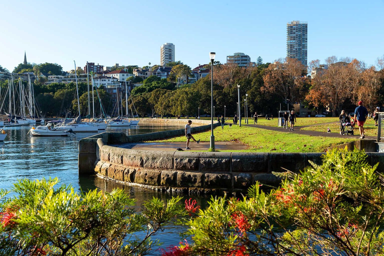 7/2 Waratah Street Rushcutters Bay