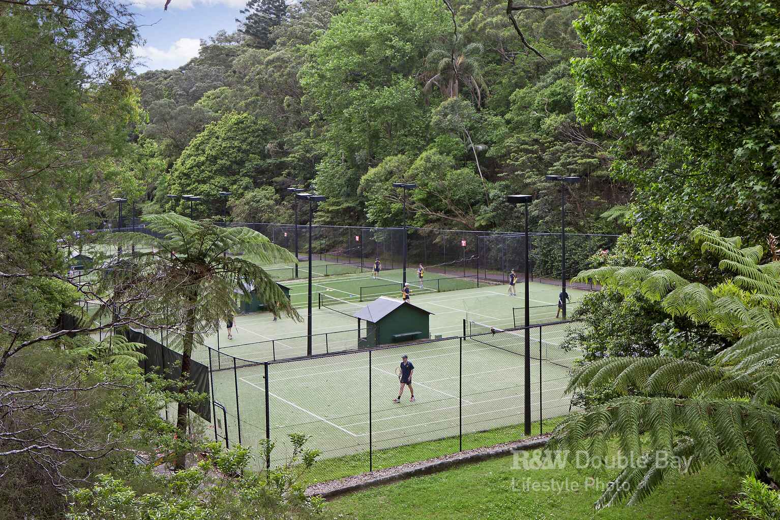 20 Suttie Road Bellevue Hill 20 Suttie Road Bellevue Hill