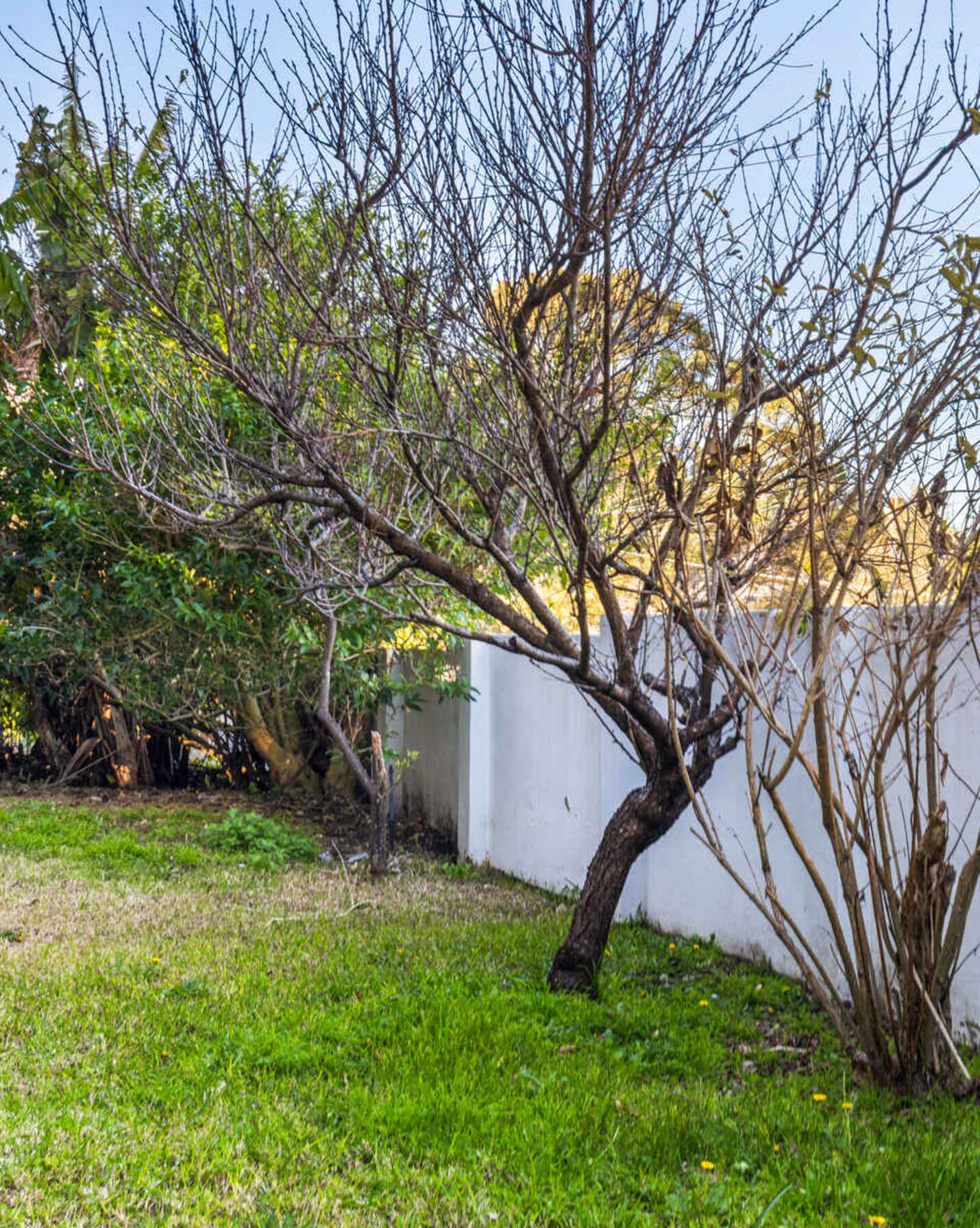 10/94-96 Wycombe Road Neutral Bay, Bay - Thumbnail 6