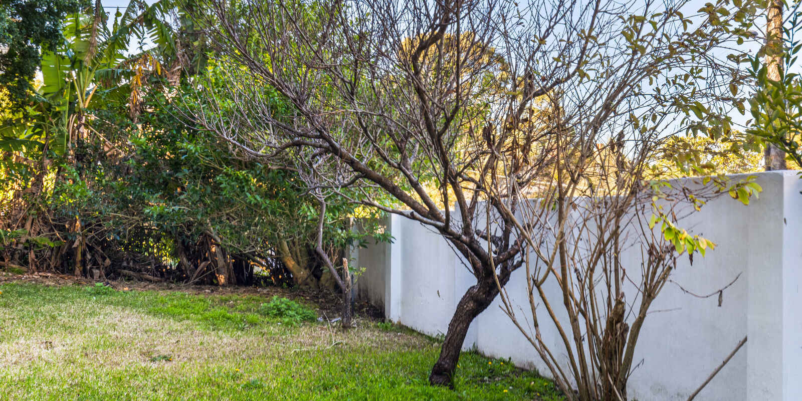 10/94-96 Wycombe Road Neutral Bay