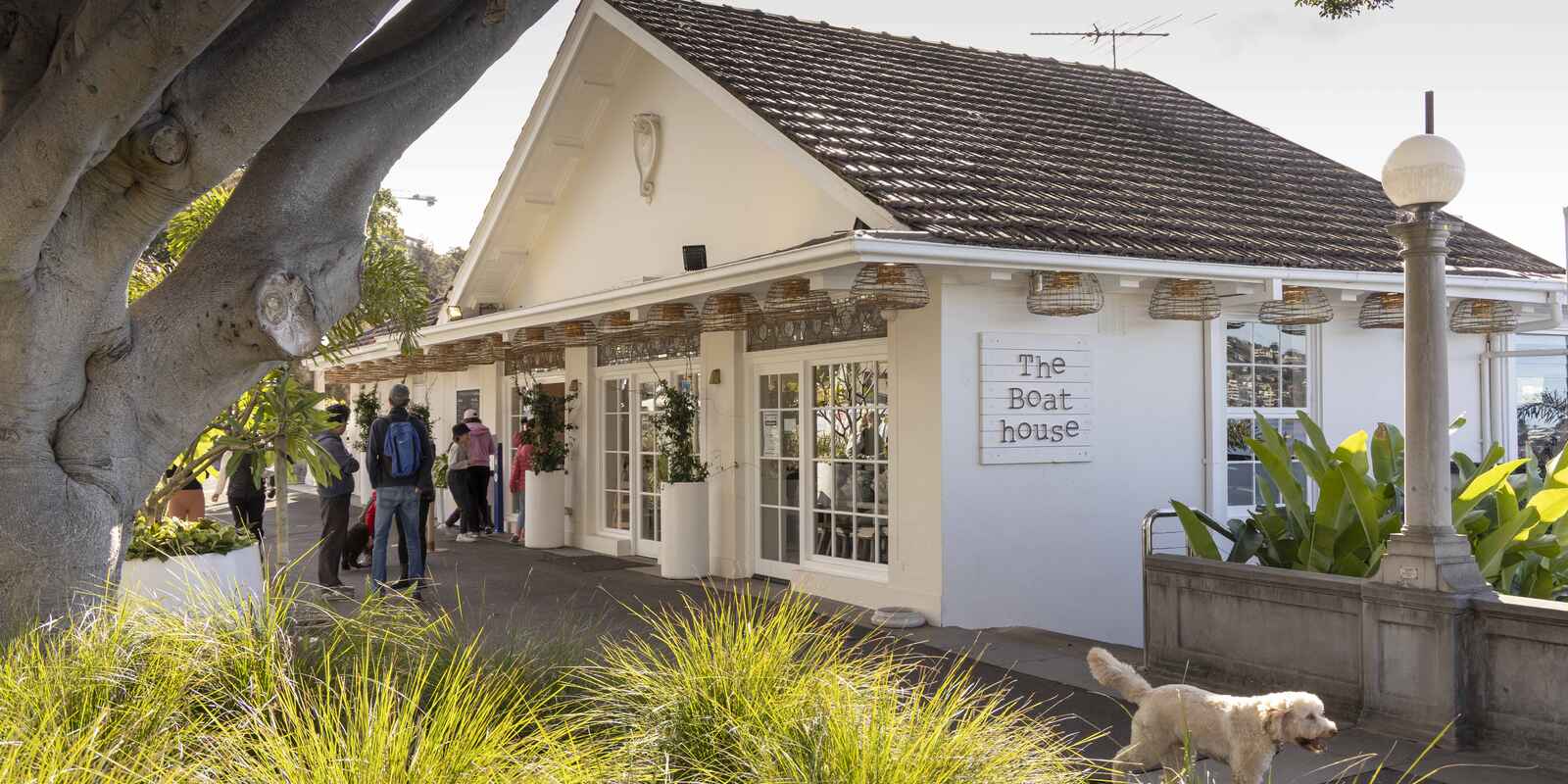 1/4 Richmond Road Rose Bay