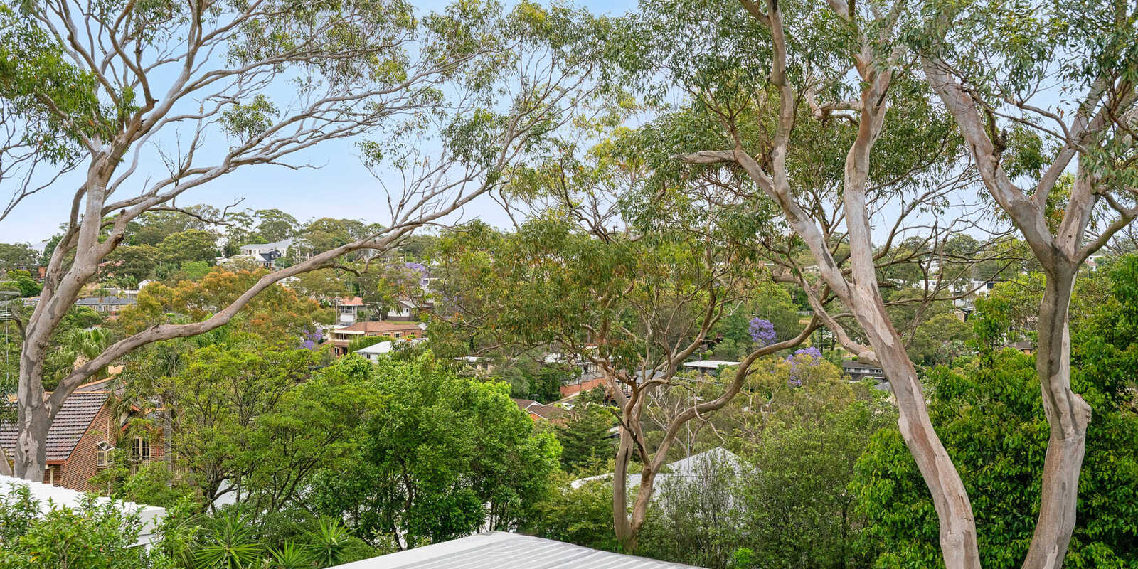 7 Calliope Road Miranda 7 Calliope Road Miranda