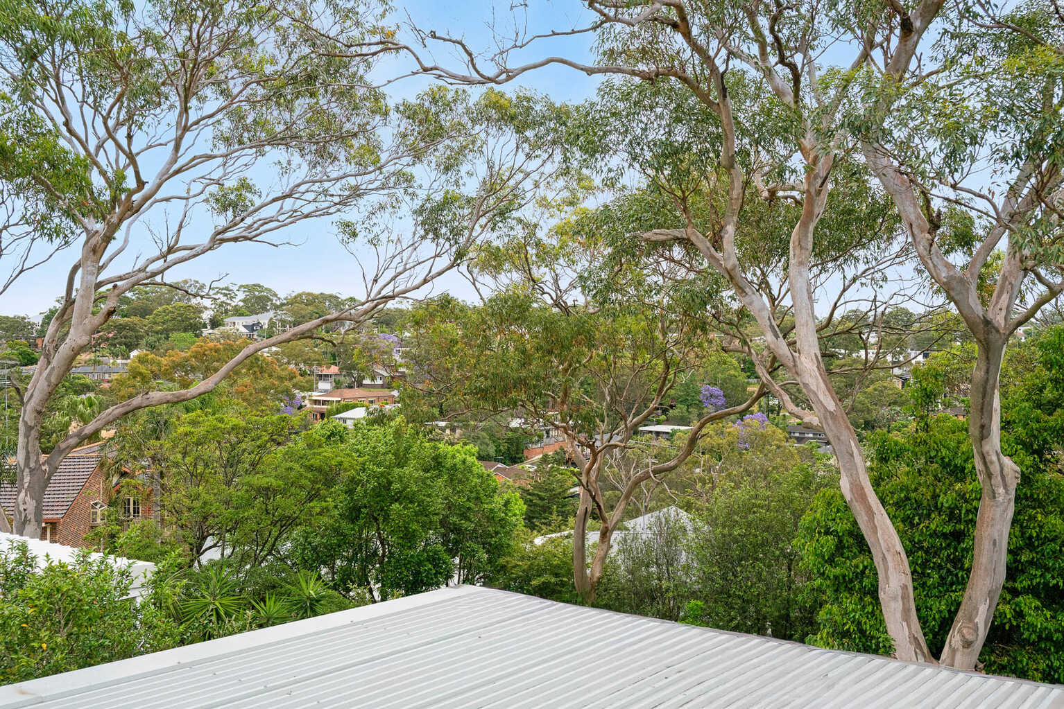 7 Calliope Road Miranda 7 Calliope Road Miranda