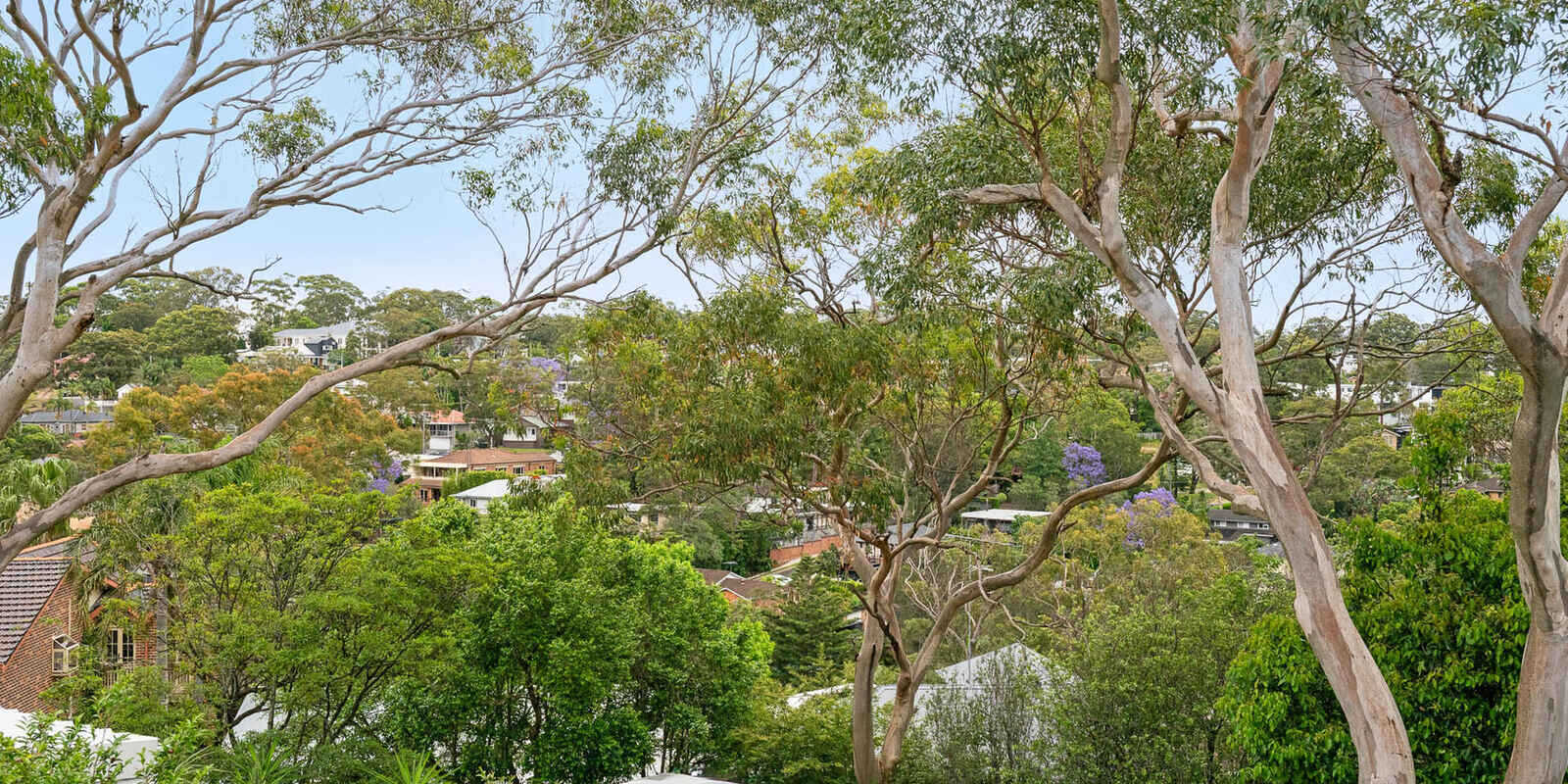 7 Calliope Road Miranda 7 Calliope Road Miranda