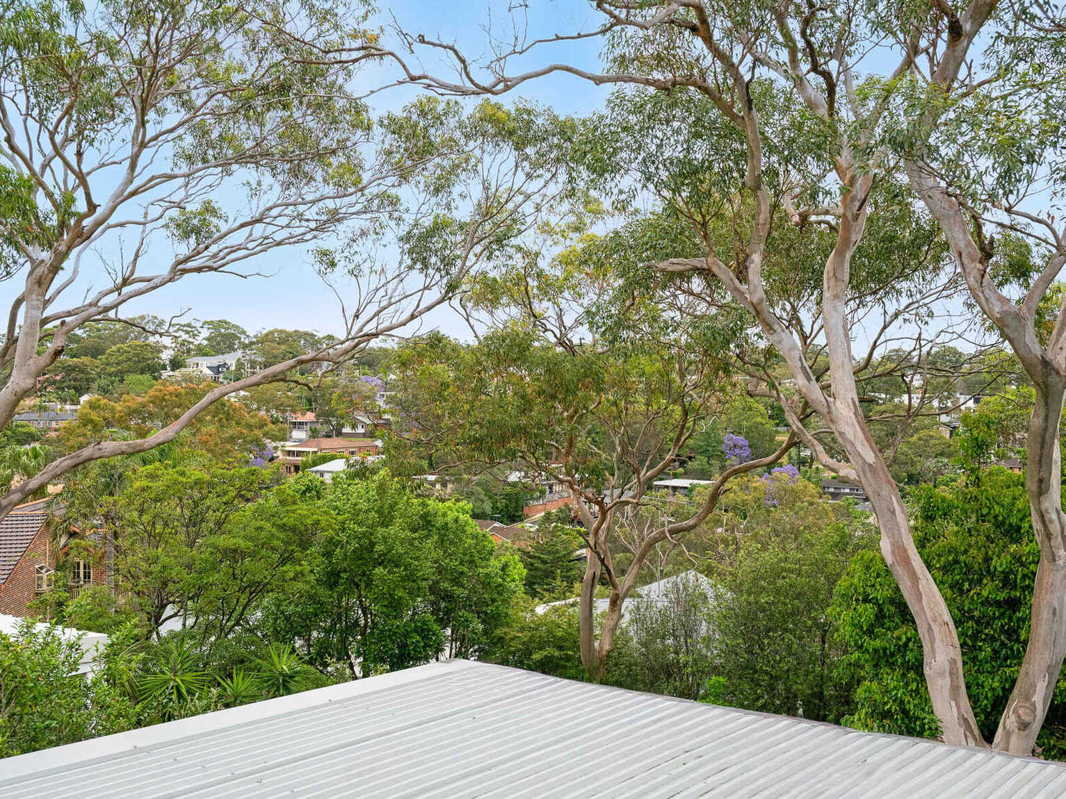 7 Calliope Road Miranda 7 Calliope Road Miranda